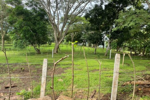 Lotes y Parcelas en venta- La Roca, Cuarros de Lagunillas