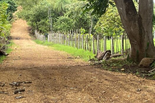 Lotes y Parcelas en venta- La Roca, Cuarros de Lagunillas