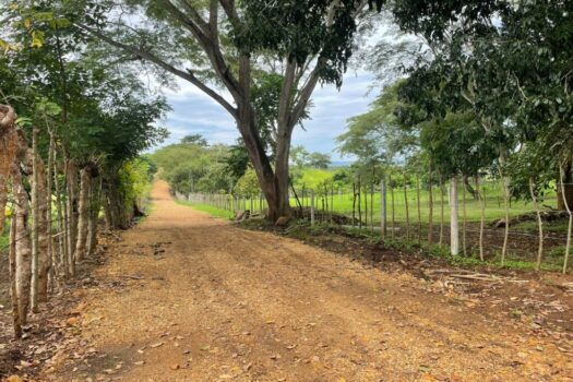Lotes y Parcelas en venta- La Roca, Cuarros de Lagunillas