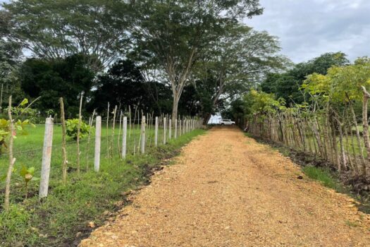 La Roca Lagunillas Residential Lots