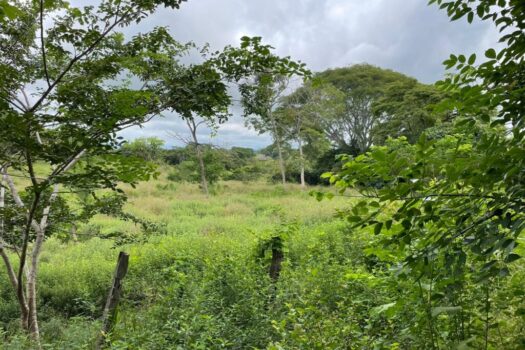 Lotes y Parcelas en venta- La Roca, Cuarros de Lagunillas
