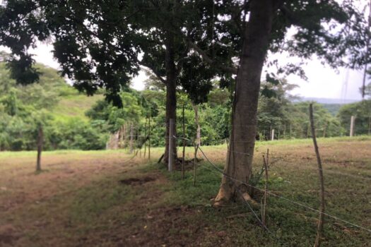 Lotes y Parcelas en venta- La Roca, Cuarros de Lagunillas