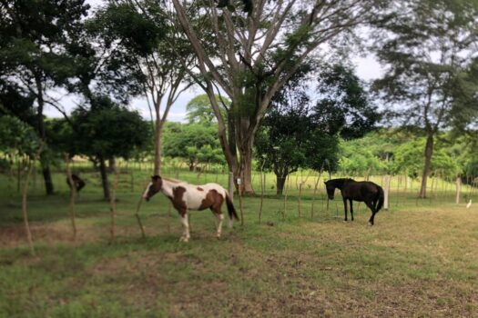 Lotes y Parcelas en venta- La Roca, Cuarros de Lagunillas