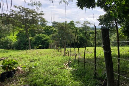 La Roca Lagunillas Residential Lots