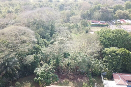 Finca para Desarrollo Pez Vela Punta Leona