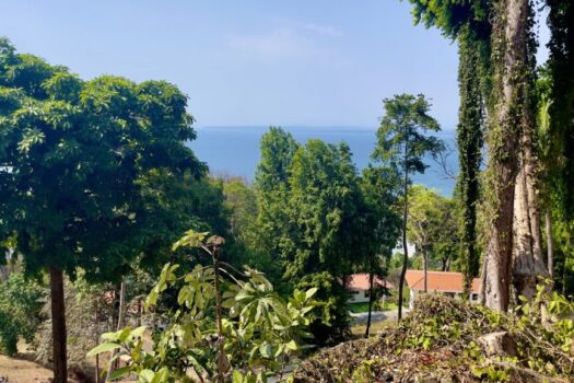 Lote con Vista al Mar en Montemar de Altos de Leonamar