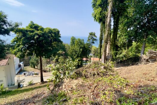 Lote con Vista al Mar en Montemar de Altos de Leonamar
