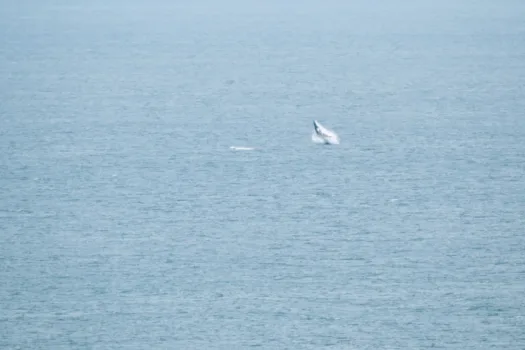 Stunning Oceanfront Penthouse Punta Leona