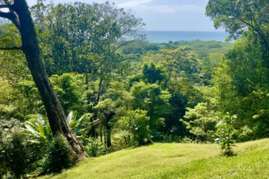 Nativa Large Oceanview Lot