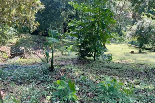 Lote con Vista al Mar Nativa