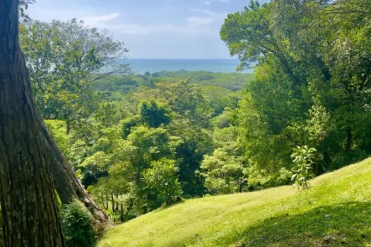 Lote con Vista al Mar Nativa