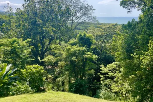 Lote con Vista al Mar Nativa