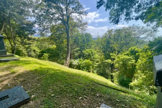 Lote con Vista al Mar Nativa