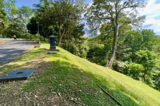 Lote con Vista al Mar Nativa