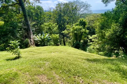 Lote con Vista al Mar Nativa