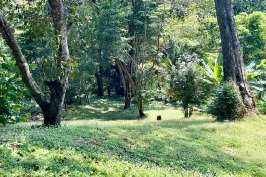 Lote con Vista al Mar Nativa