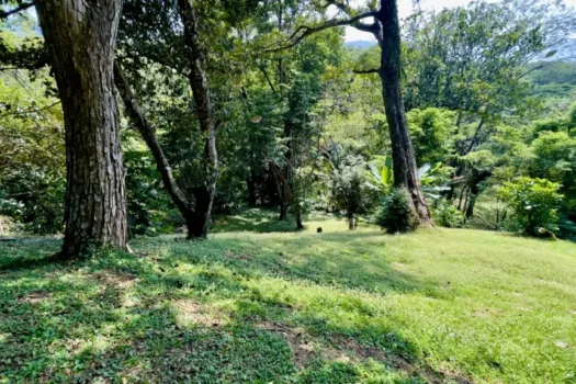 Lote con Vista al Mar Nativa